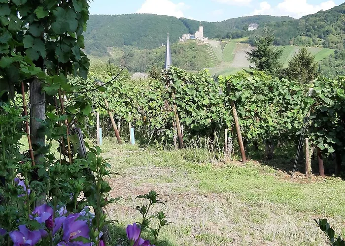 Ferienappartement Lieser