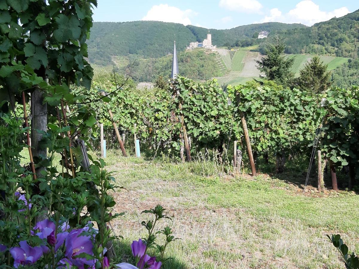 Lieser Apartment Bernkastel-Kues